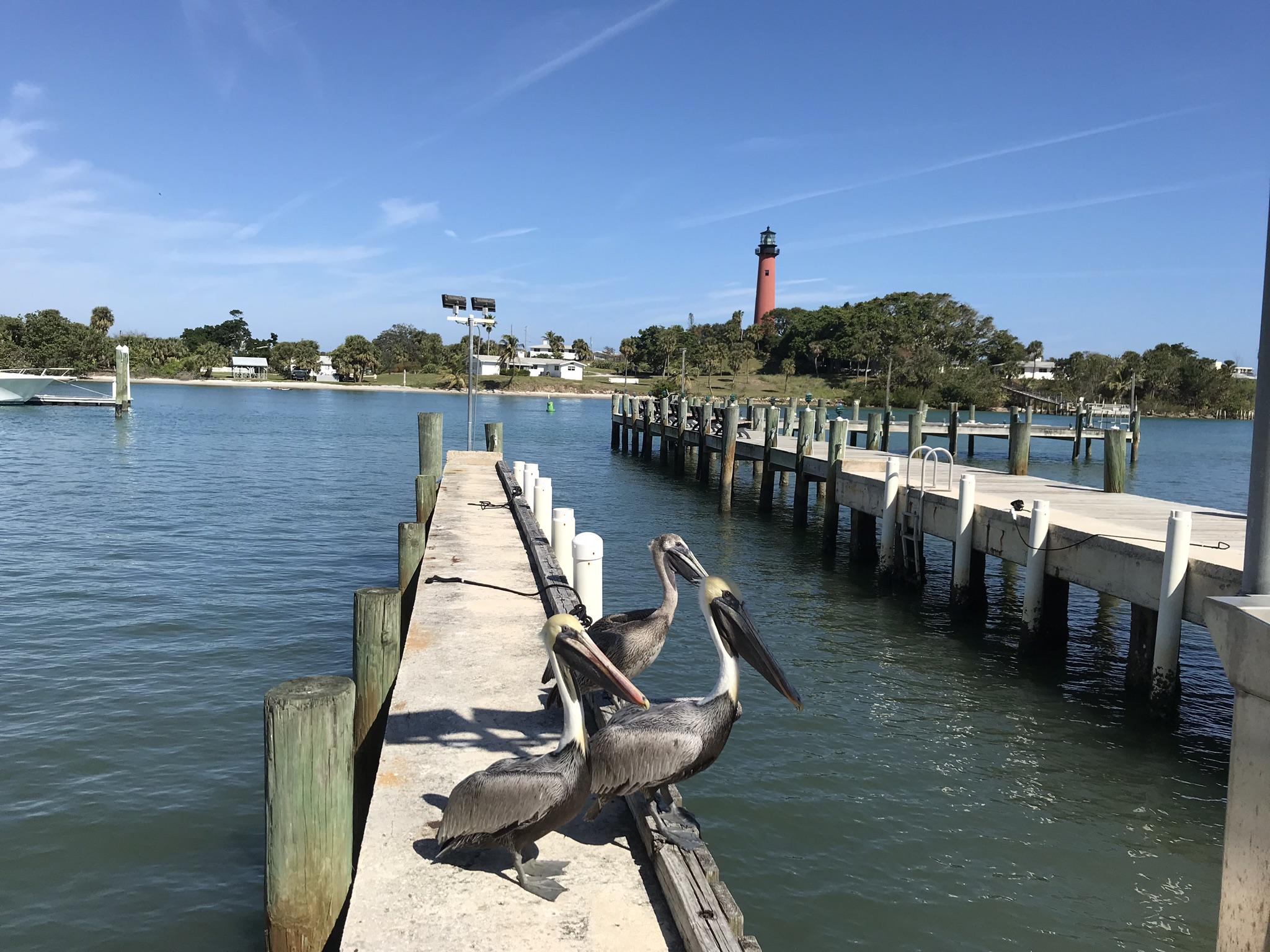 717 Highway 1, Unit 101 Jupiter, FL 33477 - Photo 21 of 26 Jupiter Lighthouse