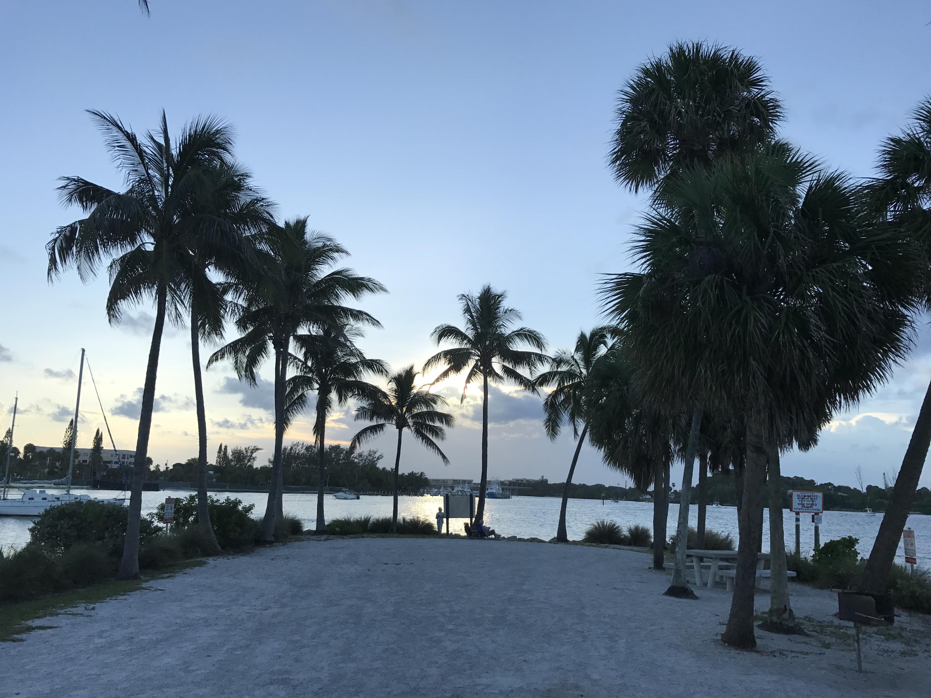 717 Highway 1, Unit 101 Jupiter, FL 33477 - Photo 25 of 26 Dubois Park