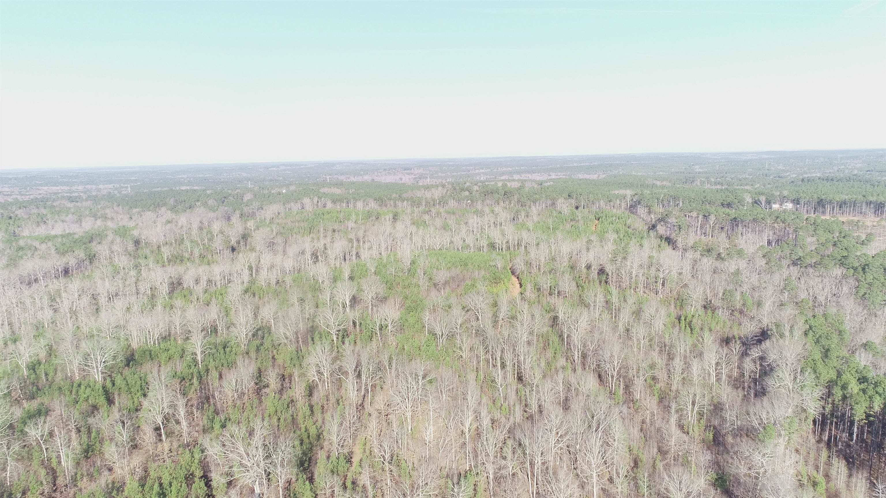 0 Buckhead Road Liberty Hill, SC 29074 - Photo 11 of 29 View of local wilderness