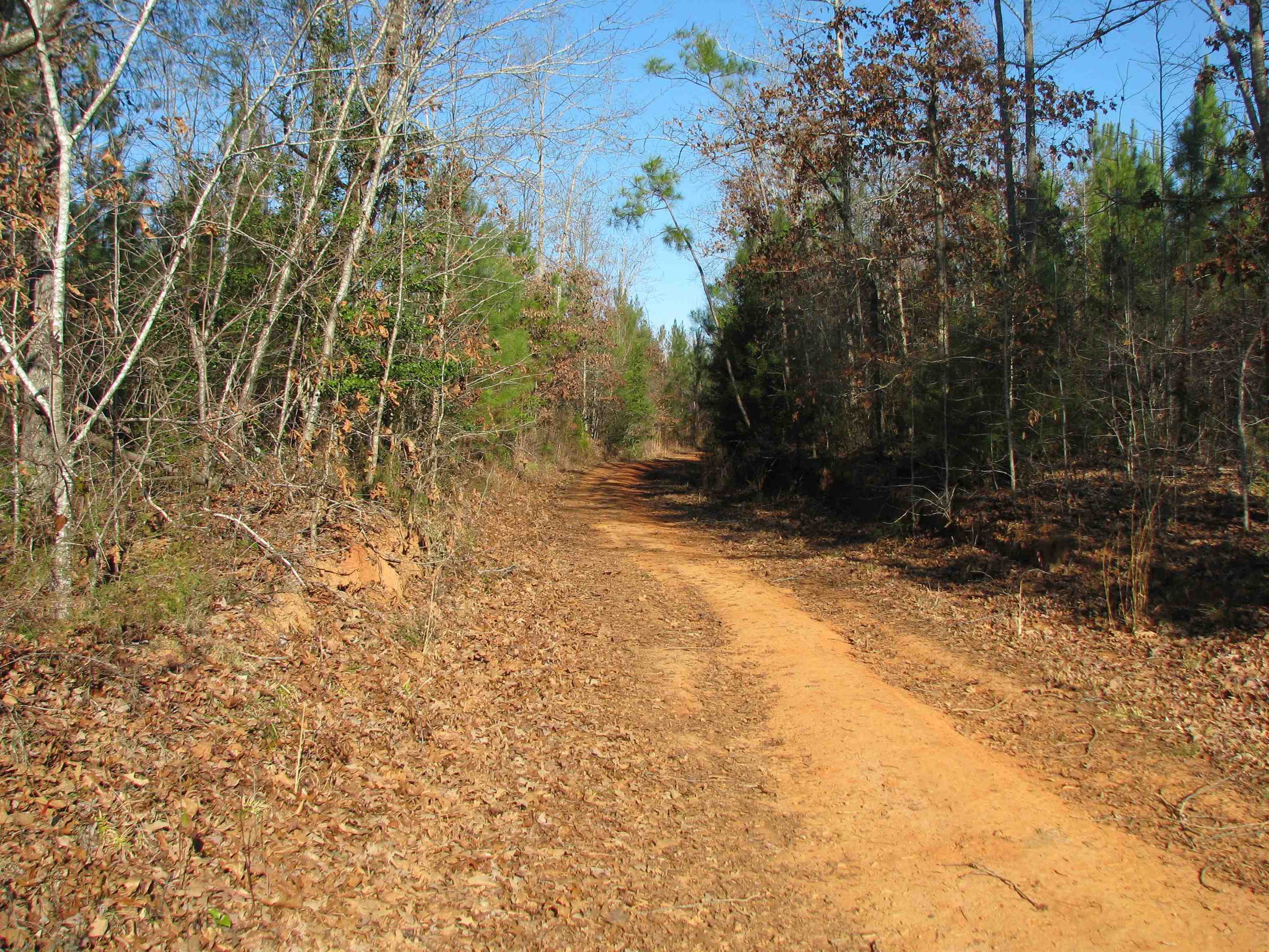 0 Buckhead Road Liberty Hill, SC 29074 - Photo 14 of 29 View of road