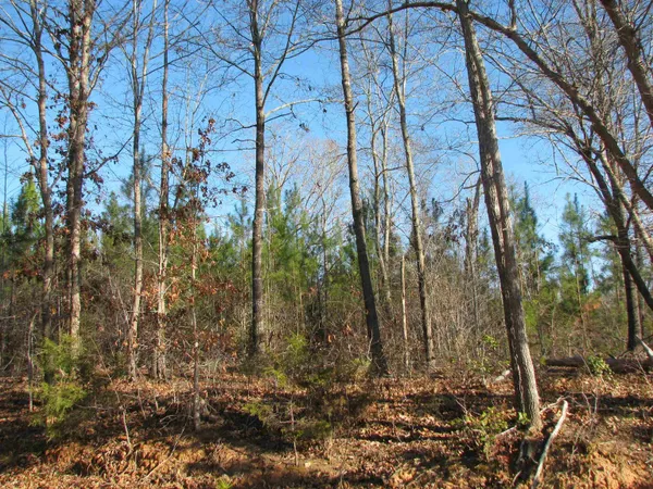 $517,500 | 0 Buckhead Road, Liberty Hill, SC 29074