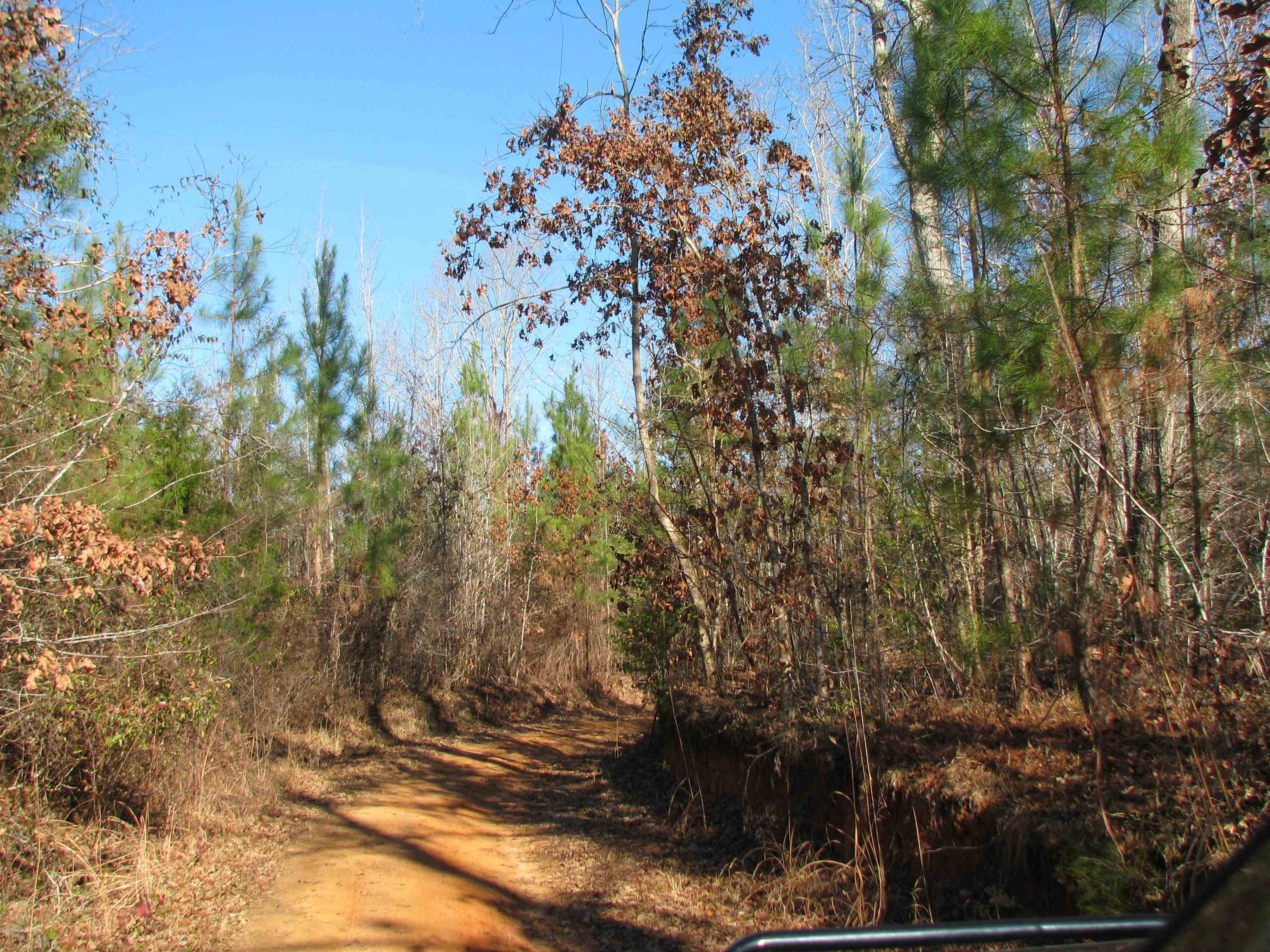 0 Buckhead Road Liberty Hill, SC 29074 - Photo 16 of 29 View of wooded area