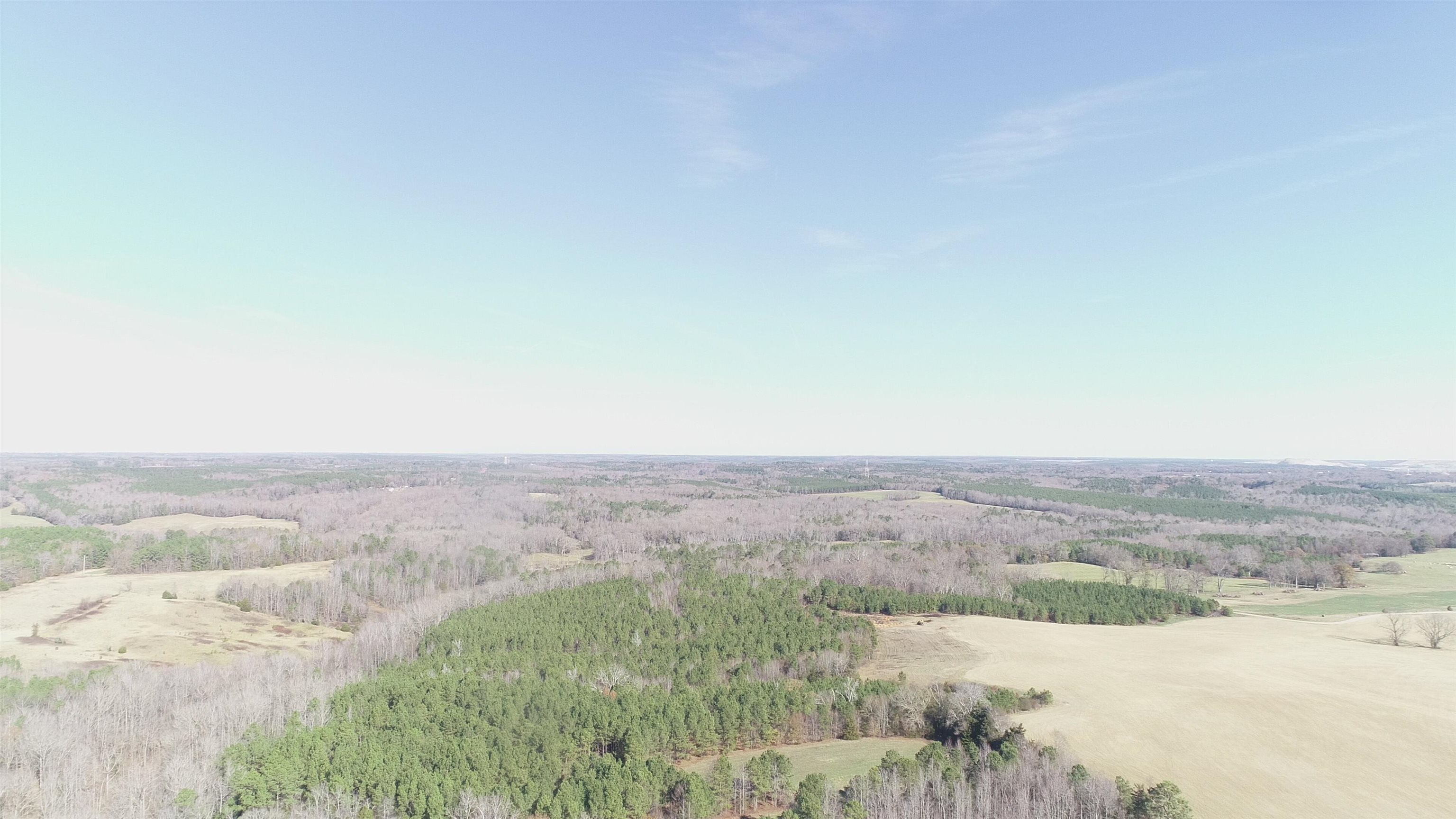 0 Buckhead Road Liberty Hill, SC 29074 - Photo 2 of 29 Aerial view of a forest