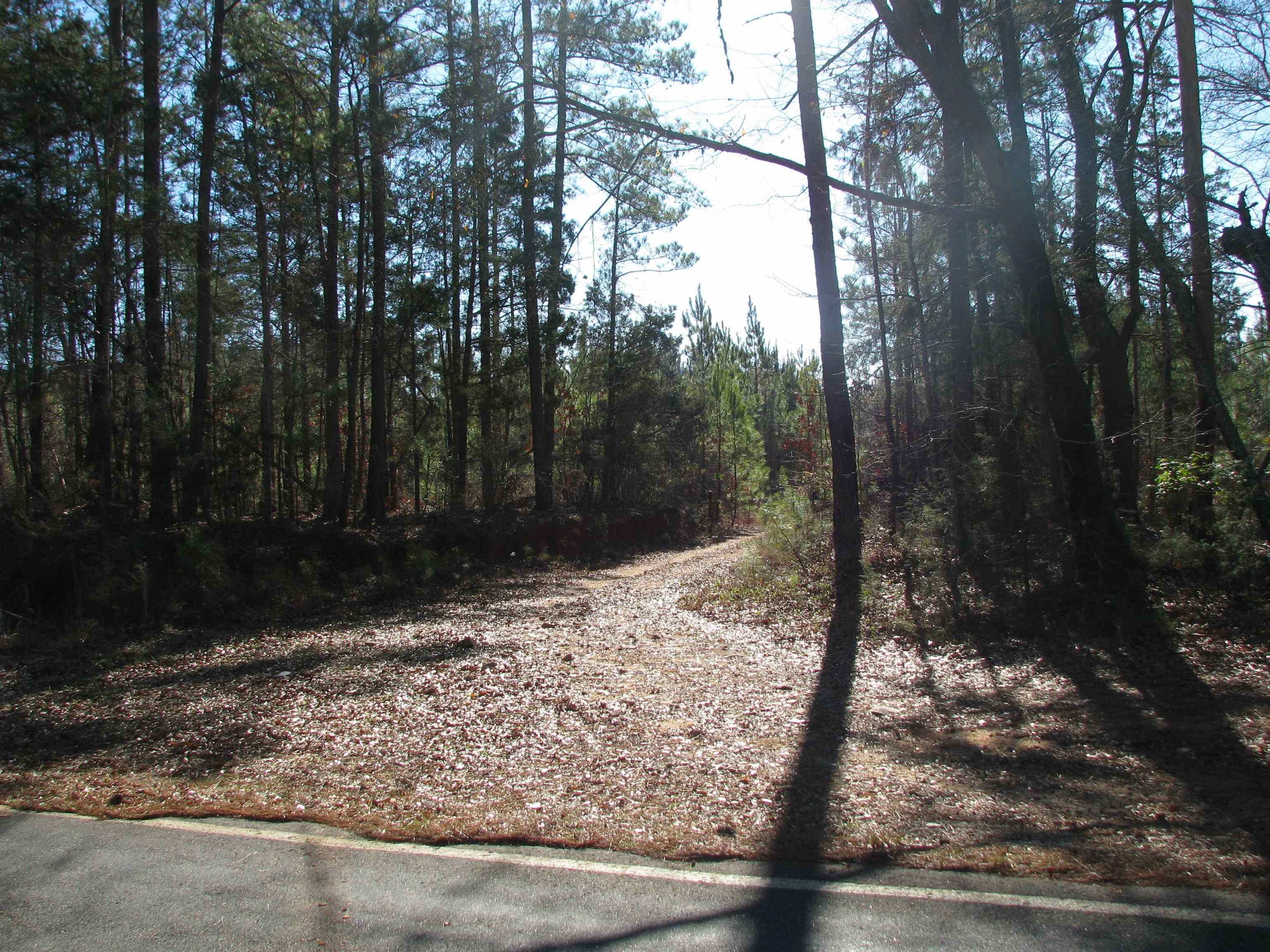 0 Buckhead Road Liberty Hill, SC 29074 - Photo 24 of 29 View of tree filled area