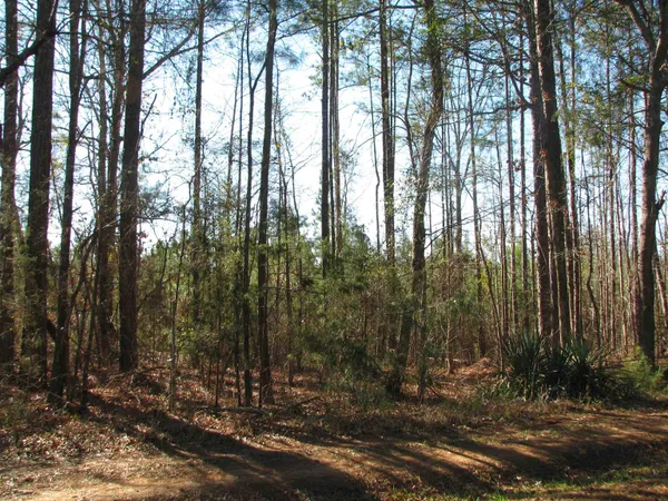 $517,500 | 0 Buckhead Road, Liberty Hill, SC 29074