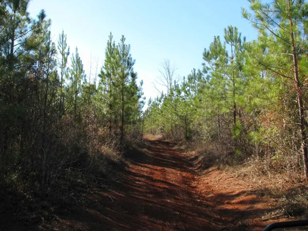 $517,500 | 0 Buckhead Road, Liberty Hill, SC 29074