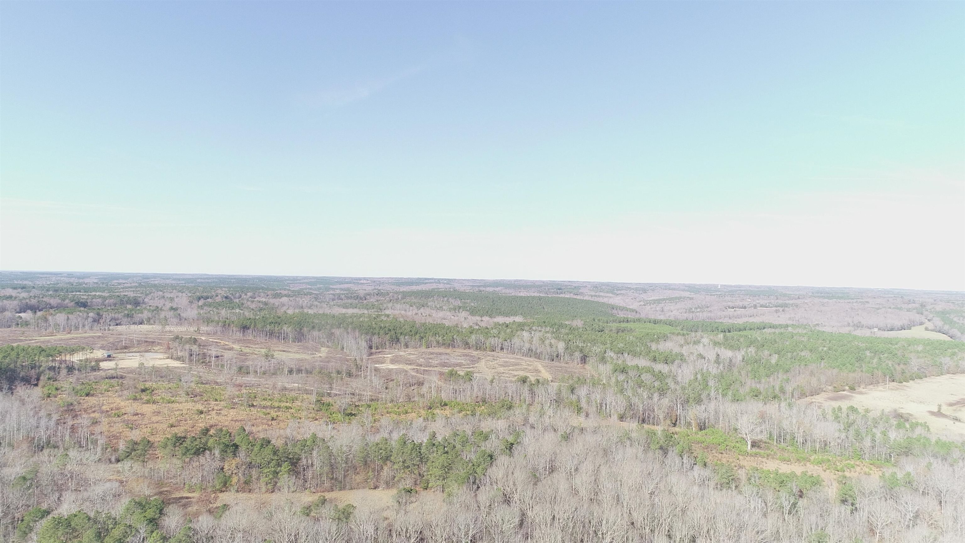 0 Buckhead Road Liberty Hill, SC 29074 - Photo 4 of 29 View of nature