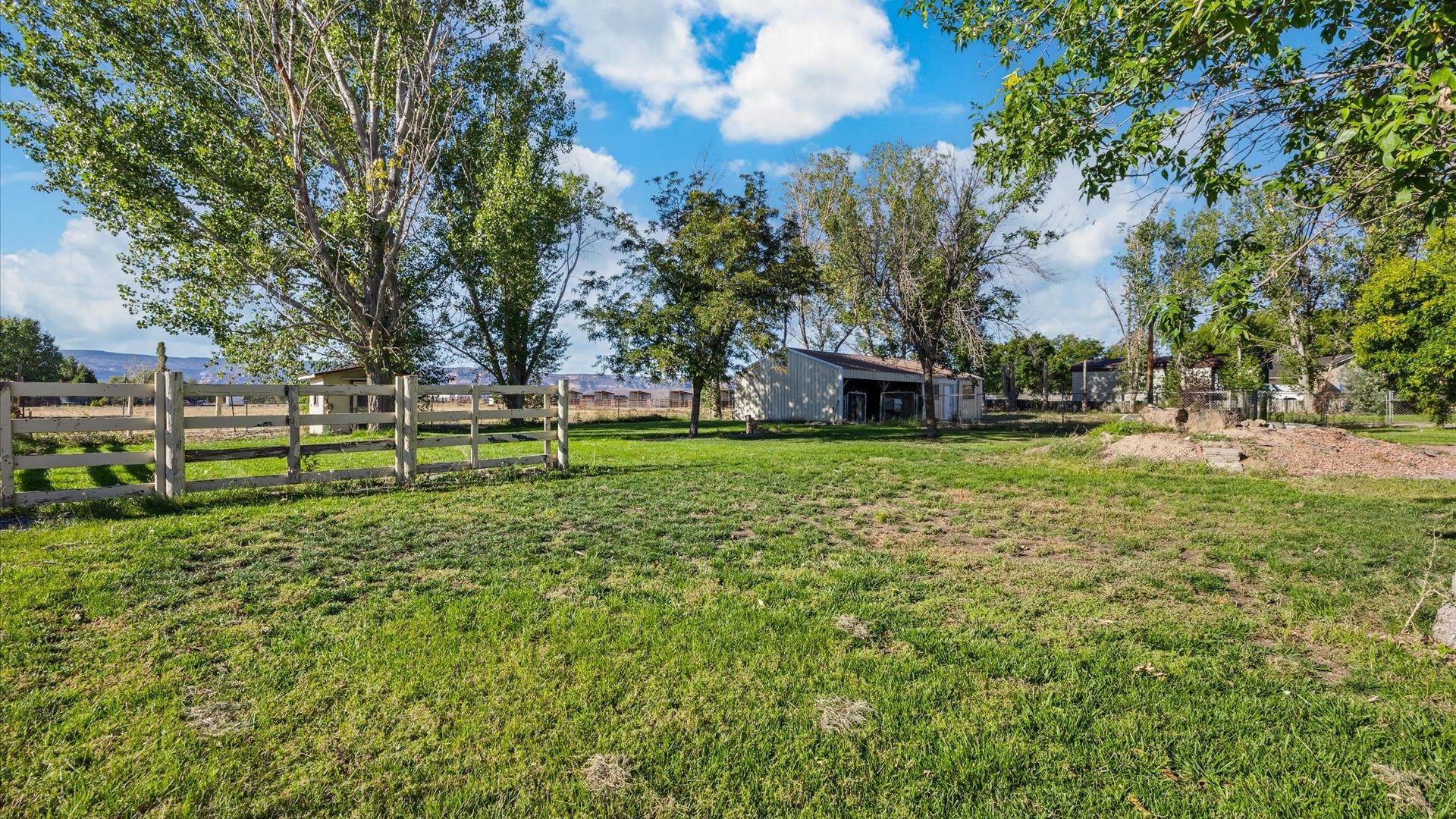 1351 M M 1/4 Road Loma, CO 81524 - Photo 7 of 36 a view of a park with large trees