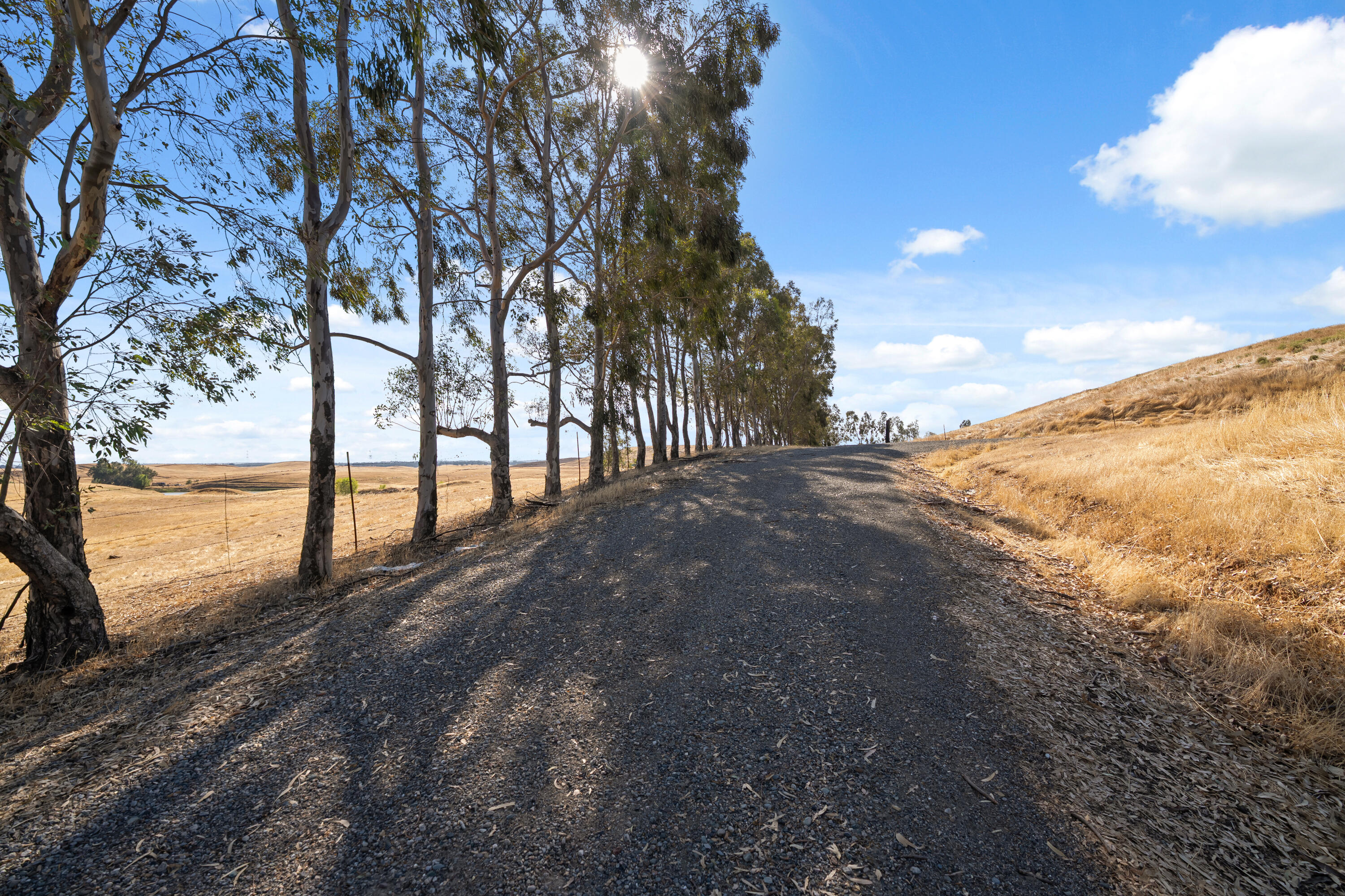 13905 Mendenhall Road Red Bluff, CA 96080 - Photo 33 of 34 TUF00744