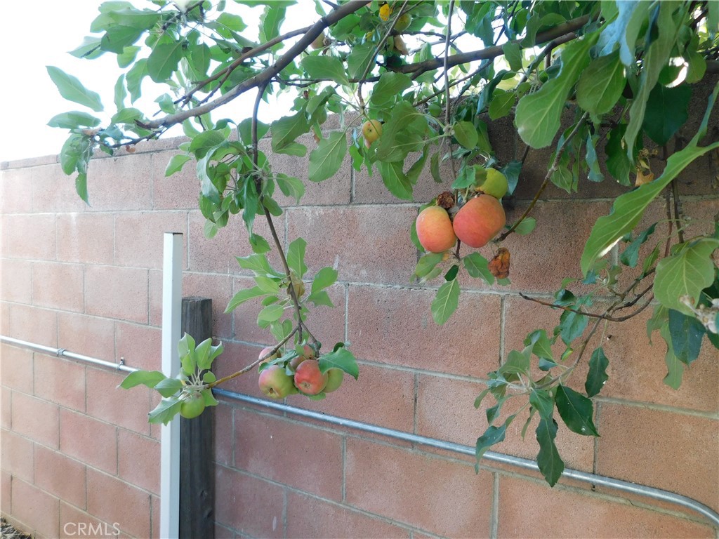 10675 Bryant Street, Unit 112 Yucaipa, CA 92399 - Photo 45 of 49 a plant with a plant in a pot
