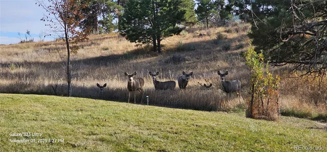 $1,000,000 | 10100 East Pinewood Drive, Parker, CO 80138