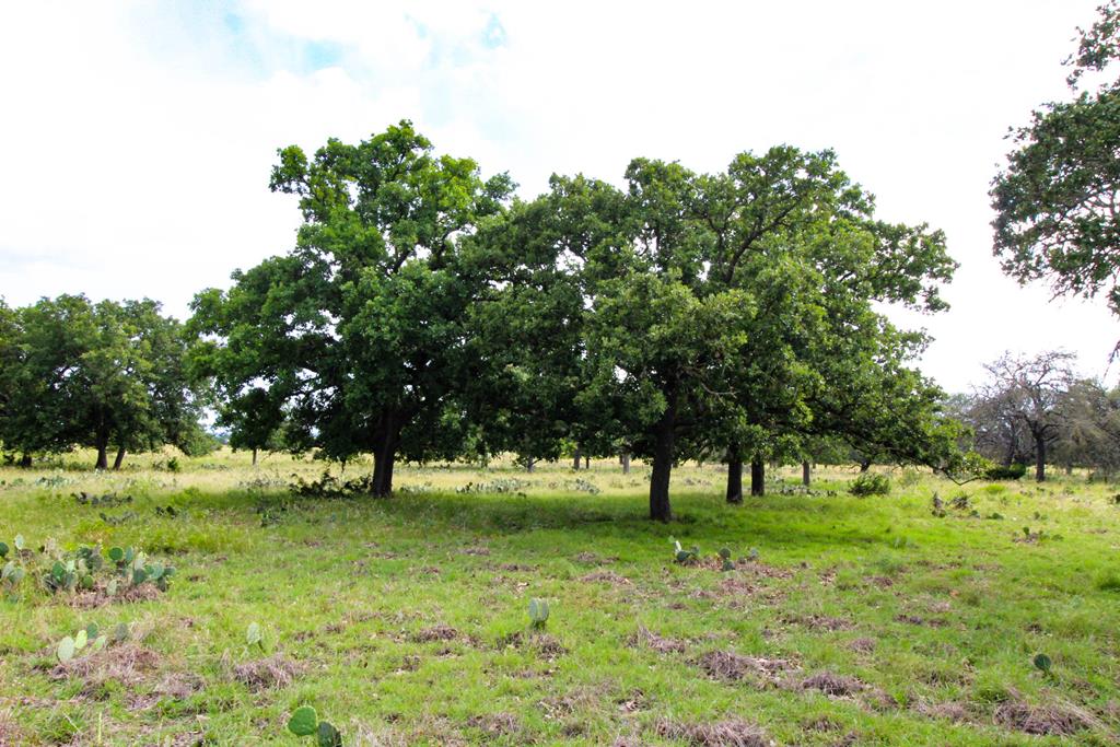 0 Solbrig Road, Unit 2 Harper, TX 78631 - Photo 1 of 1 Main View