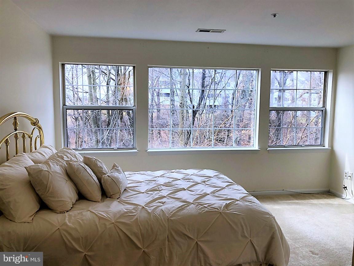 8347 Montgomery Run Road, Unit E Ellicott City, MD 21043 - Photo 13 of 24 Bedroom (Master)