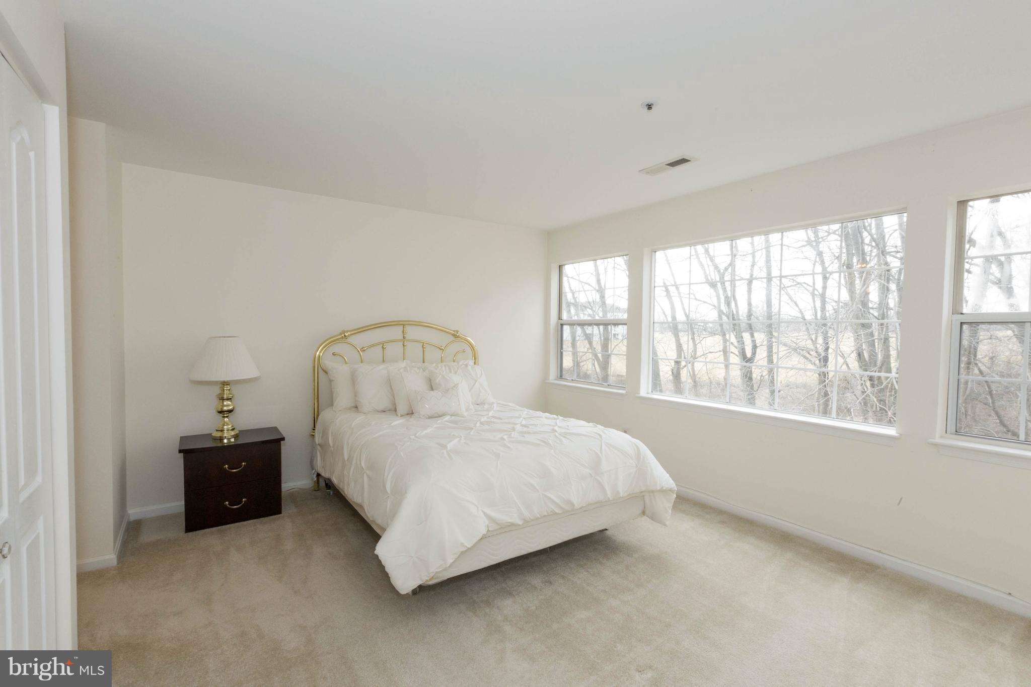 8347 Montgomery Run Road, Unit E Ellicott City, MD 21043 - Photo 14 of 24 Bath (Master)