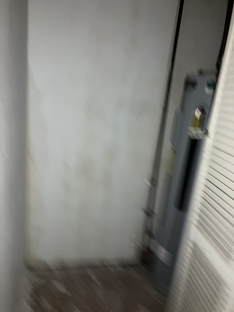 6909 South Ada Street Chicago, IL 60636 - Photo 12 of 16