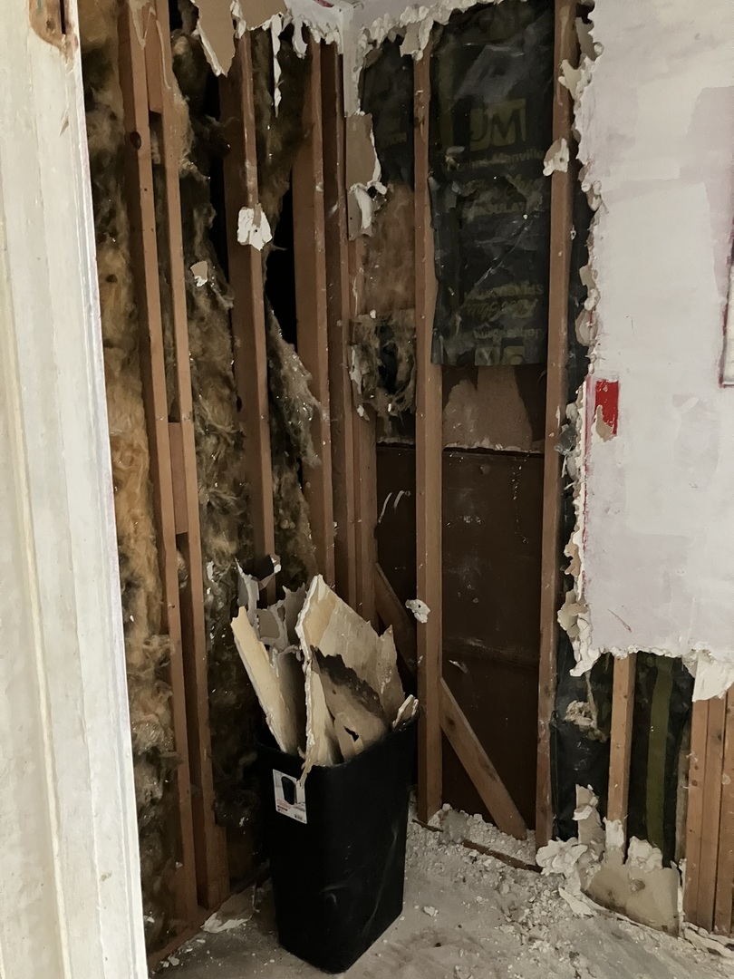 6909 South Ada Street Chicago, IL 60636 - Photo 6 of 16