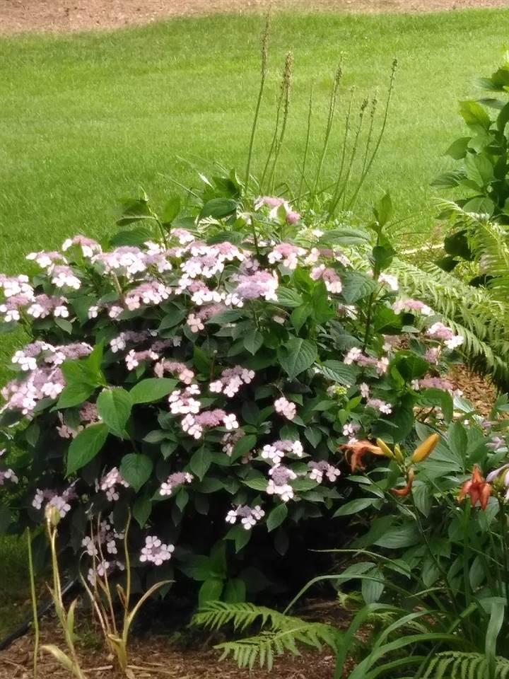767 Nature's Ridge Lane Bay City, MI 48708 - Photo 42 of 44