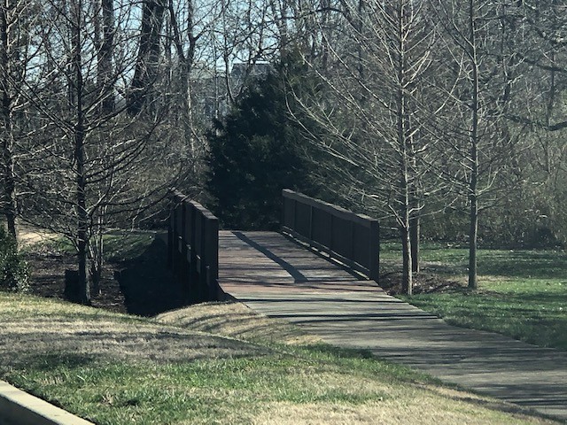 4000 Shadow Green Drive, Unit 4305 Franklin, TN 37064 - Photo 7 of 24 a view of outdoor space and yard