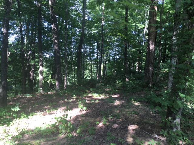 71783 Brooks Martin Road McArthur, OH 45651 - Photo 10 of 11
