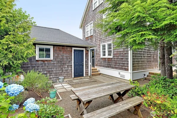 a view of a backyard with plants and a tree