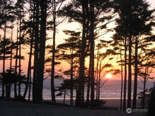 a view of outdoor space with lots of trees
