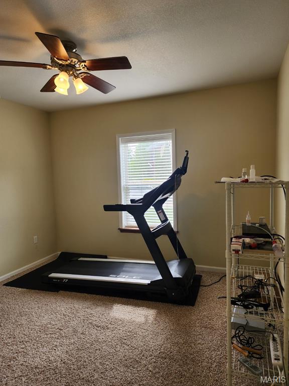 103 Cedar Court St. Robert, MO 65584 - Photo 39 of 55