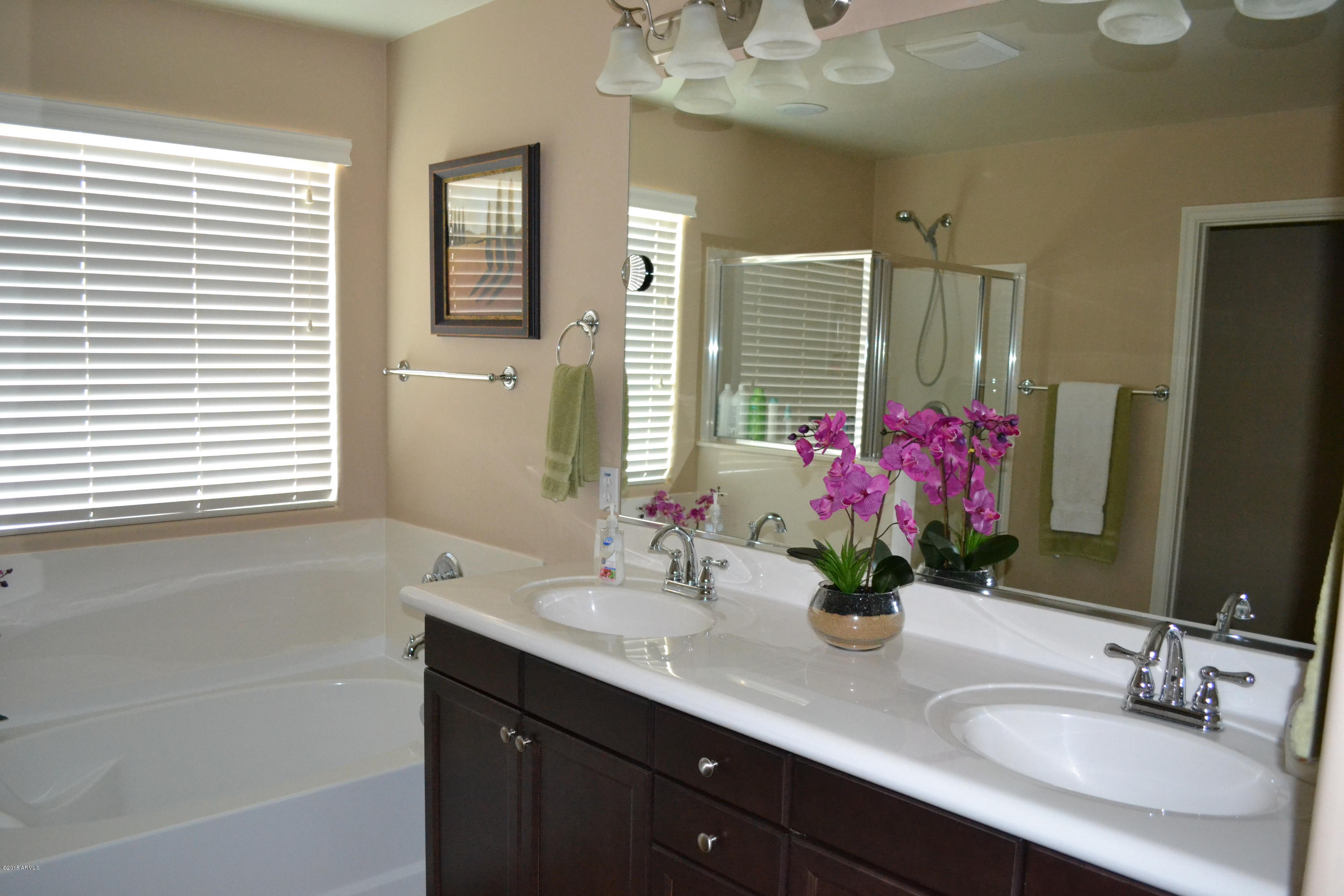 3442 East Sheffield Road Gilbert, AZ 85296 - Photo 20 of 53 DSC_0040