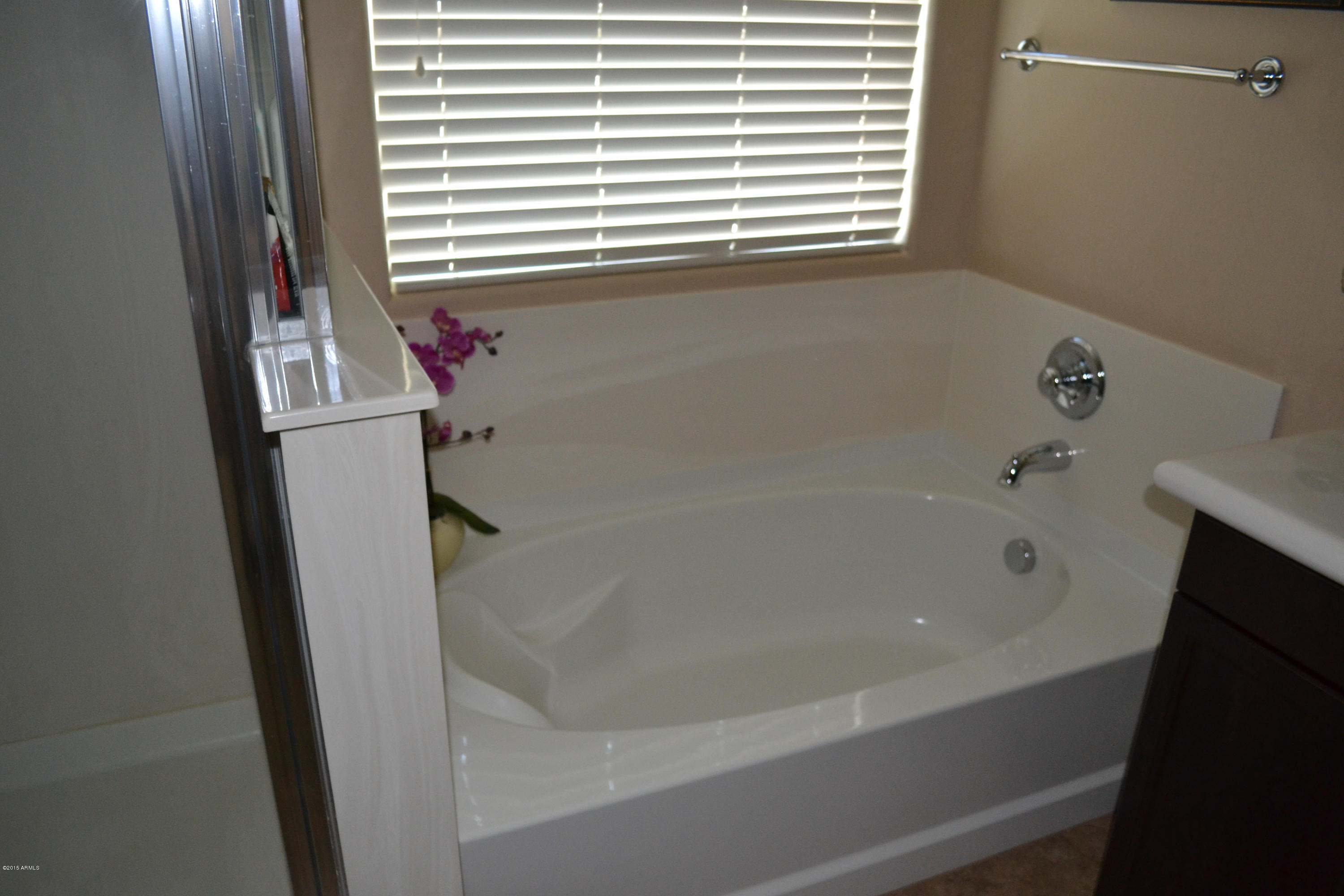 3442 East Sheffield Road Gilbert, AZ 85296 - Photo 21 of 53 DSC_0042