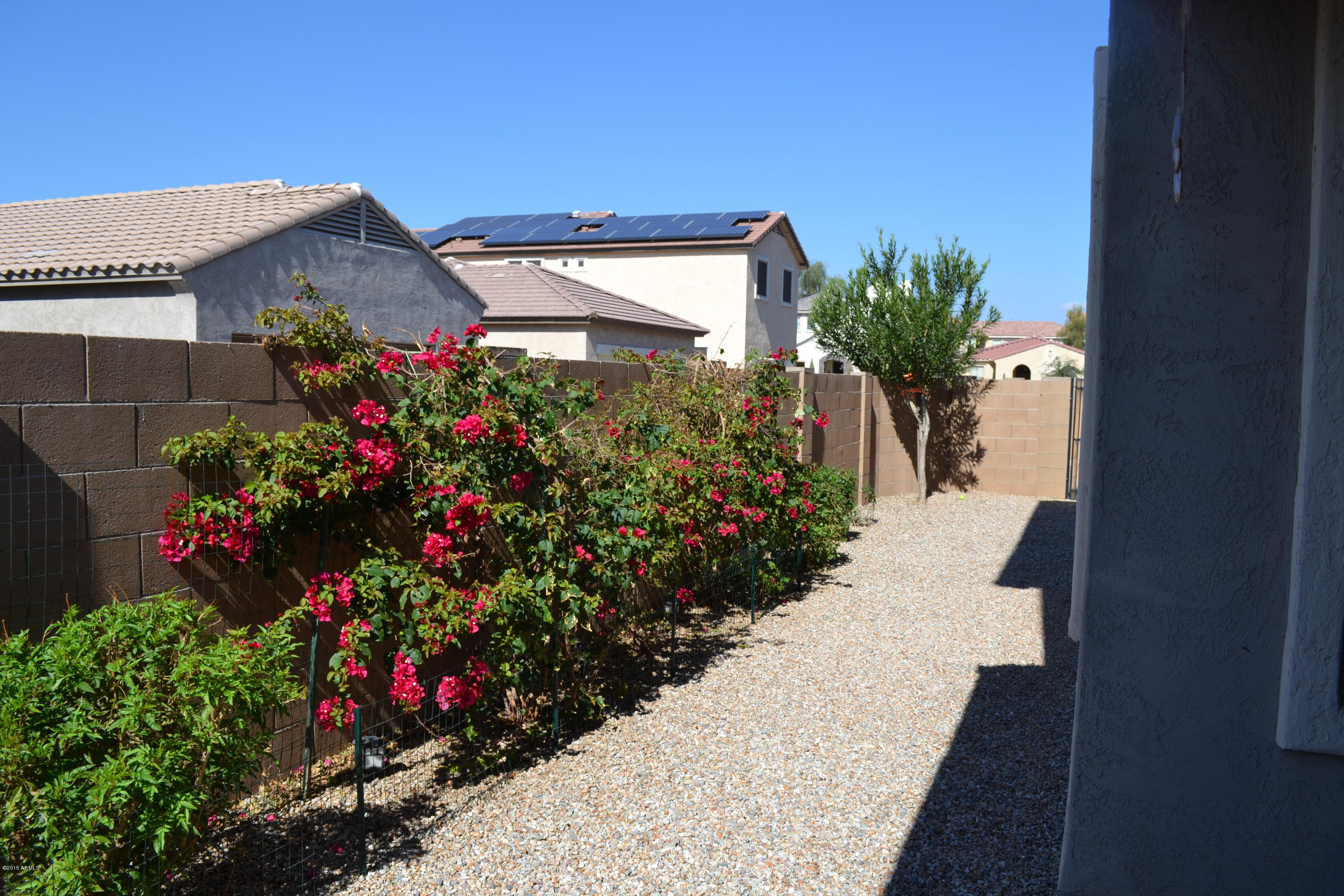 3442 East Sheffield Road Gilbert, AZ 85296 - Photo 41 of 53 DSC_0088