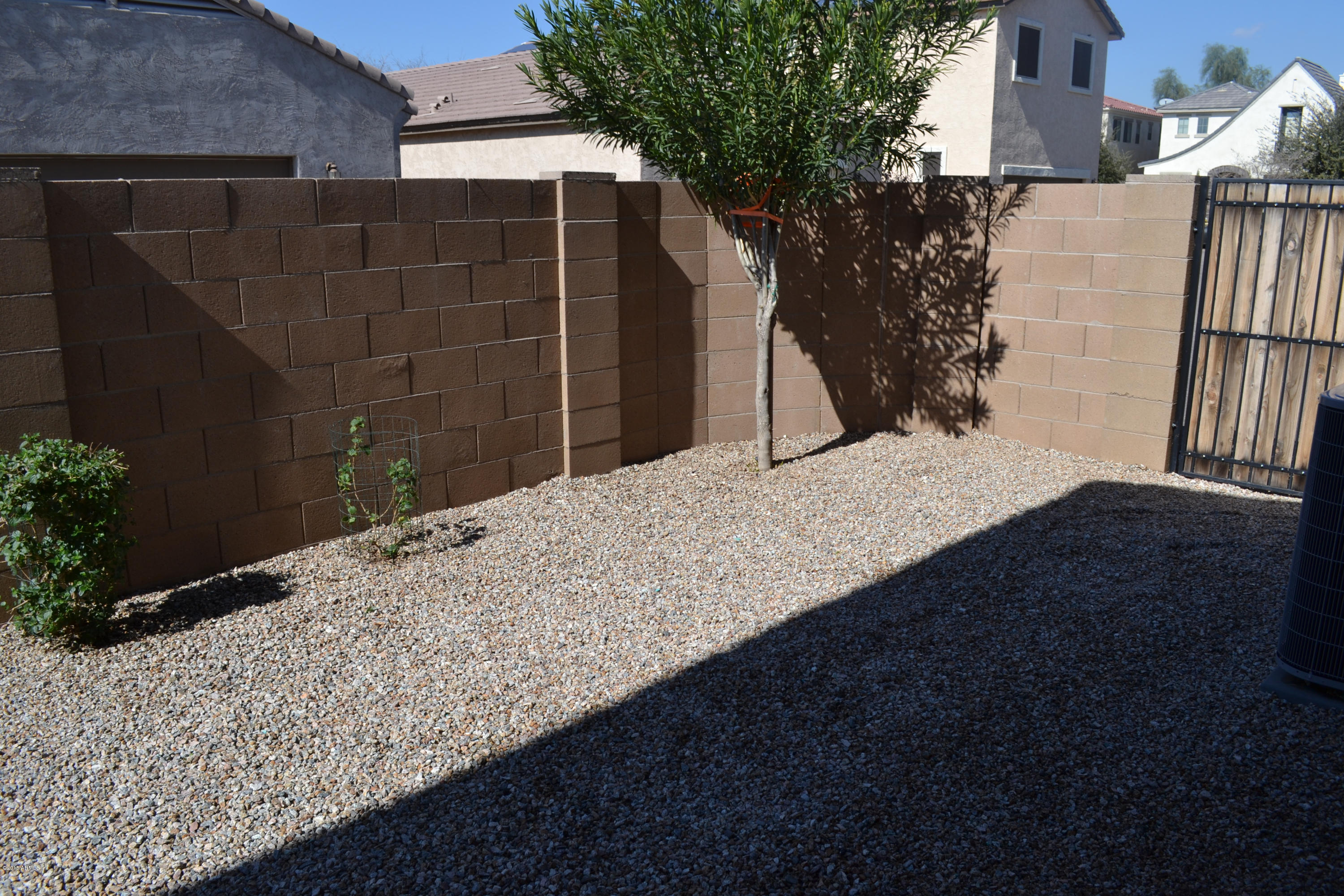 3442 East Sheffield Road Gilbert, AZ 85296 - Photo 44 of 53 DSC_0093