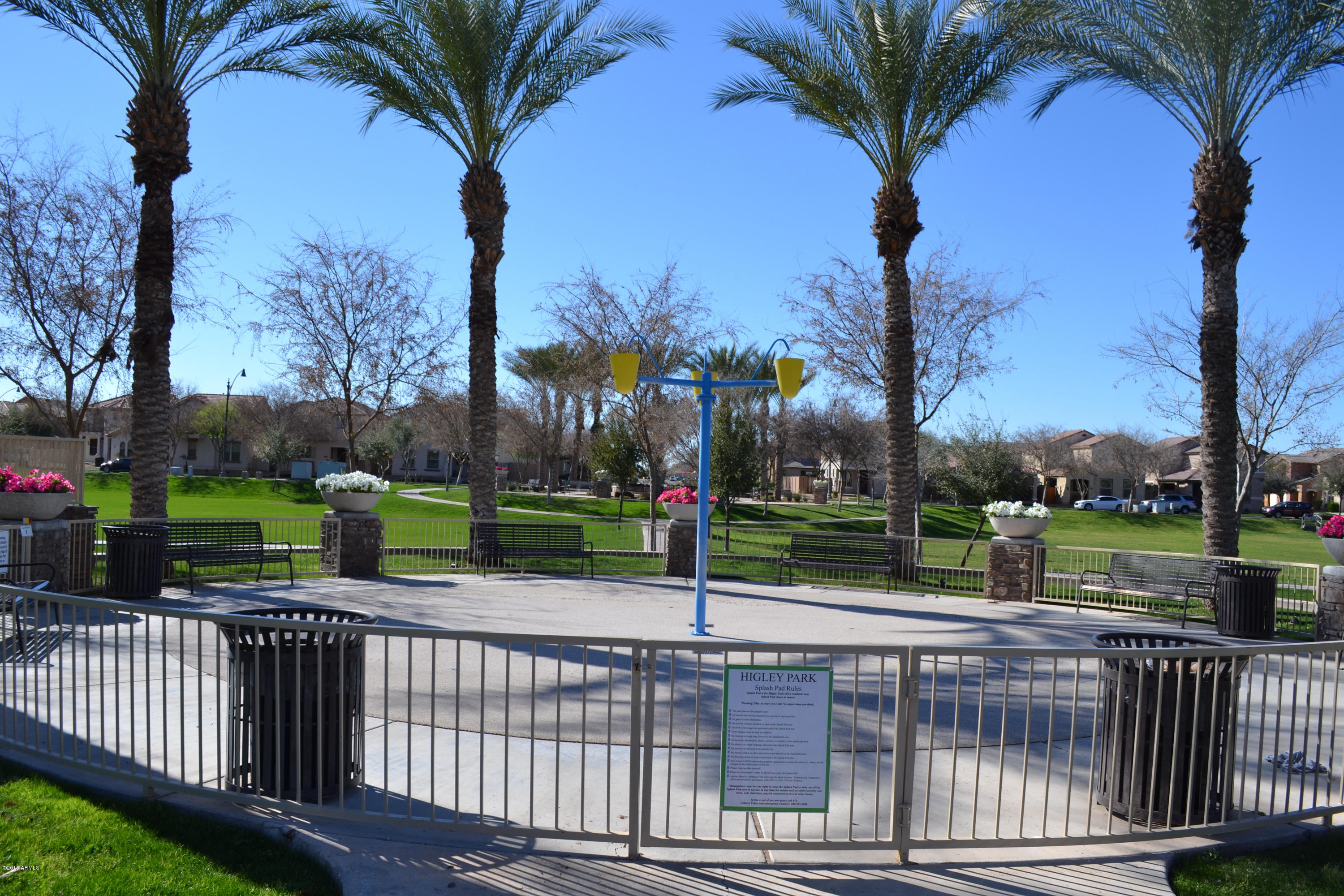 3442 East Sheffield Road Gilbert, AZ 85296 - Photo 49 of 53 DSC_0006