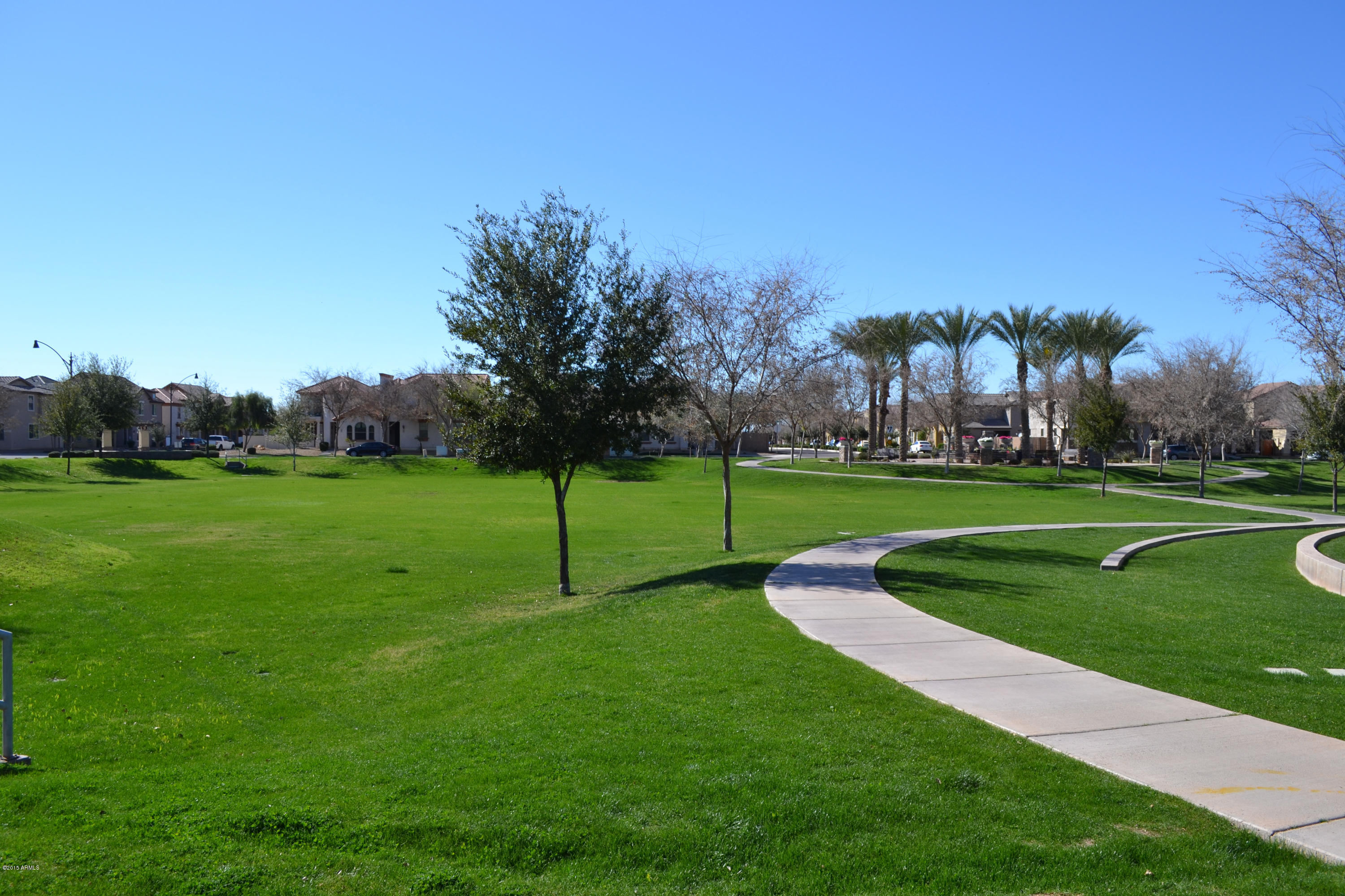 3442 East Sheffield Road Gilbert, AZ 85296 - Photo 53 of 53 DSC_0005