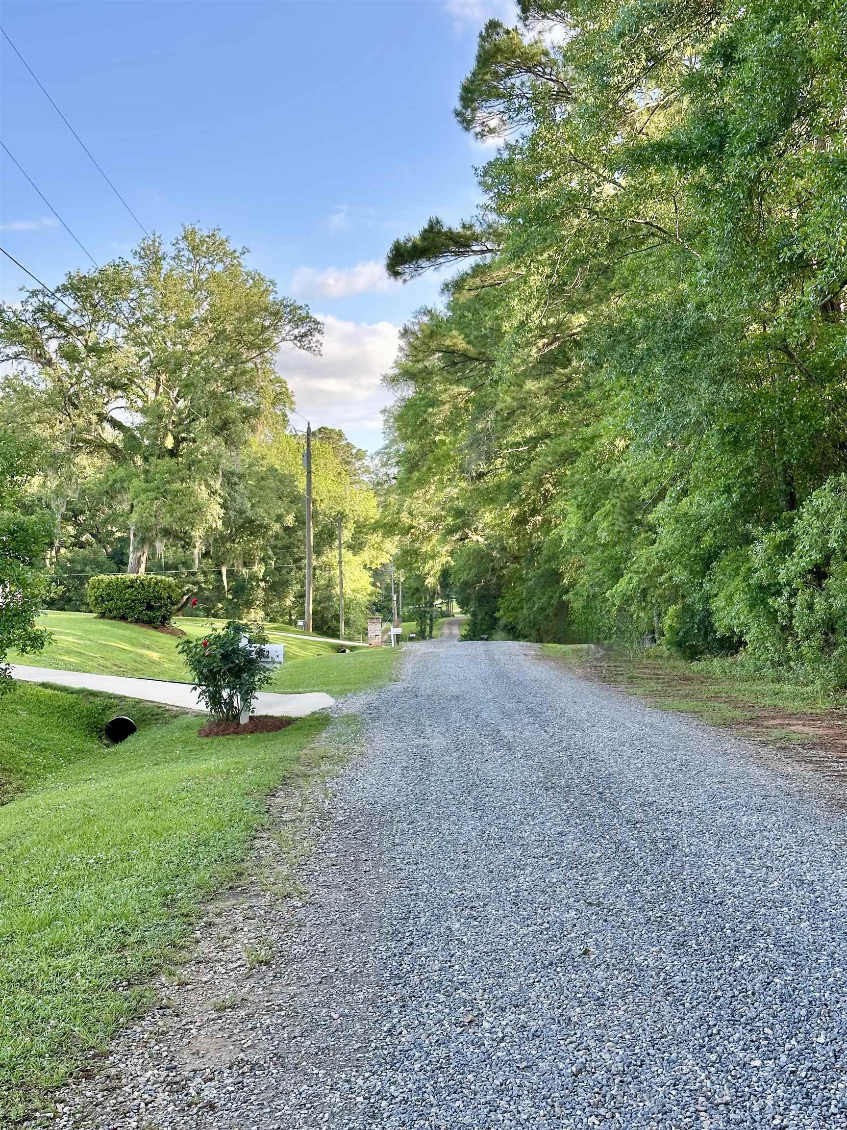 Lot 21 Homestead Road Tallahassee, FL 32309 - Photo 2 of 12