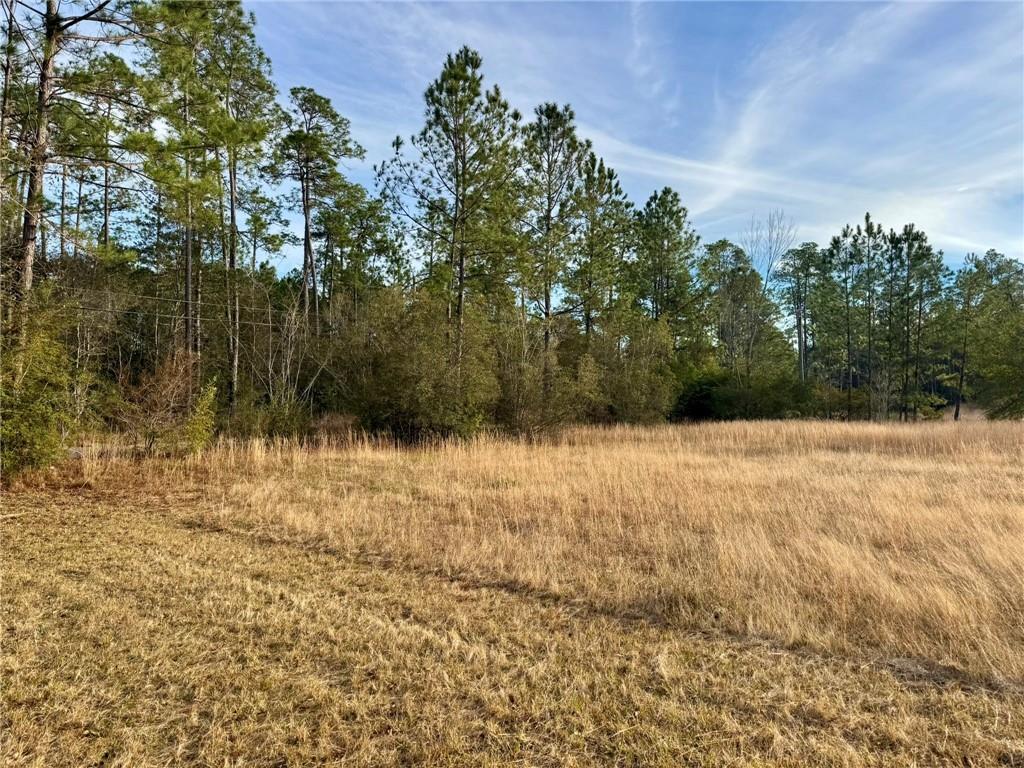 63499 Fish Hatchery Road Lacombe, LA 70445 - Photo 2 of 5 Gallery Image 2