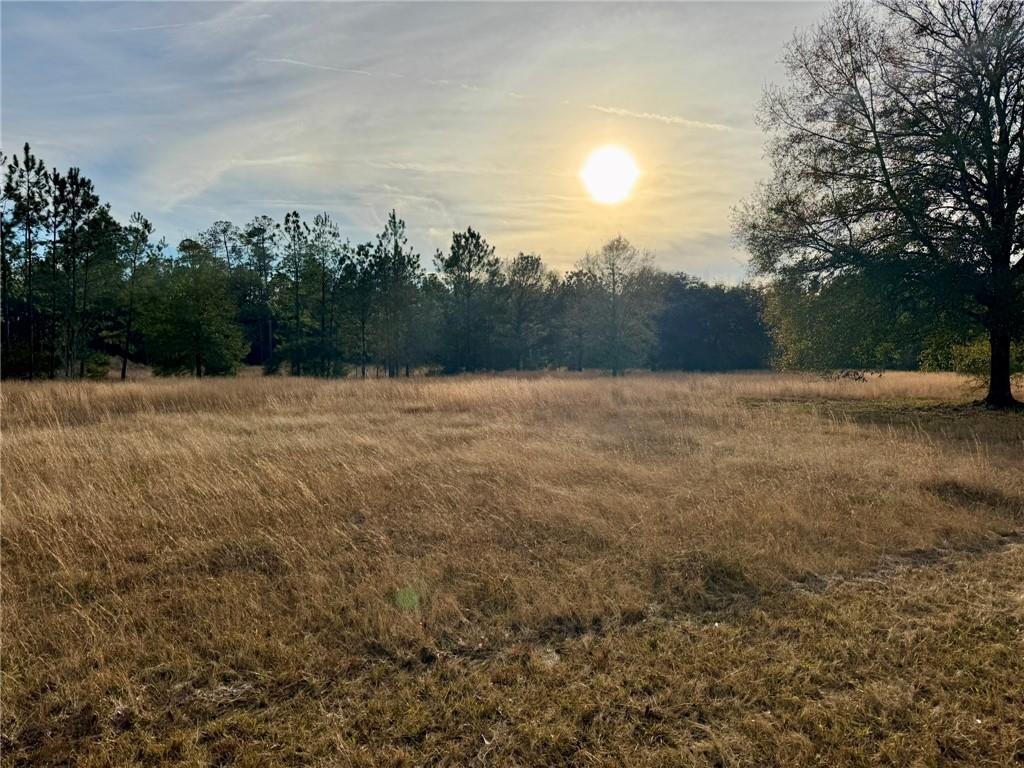 63499 Fish Hatchery Road Lacombe, LA 70445 - Photo 3 of 5 Gallery Image 3