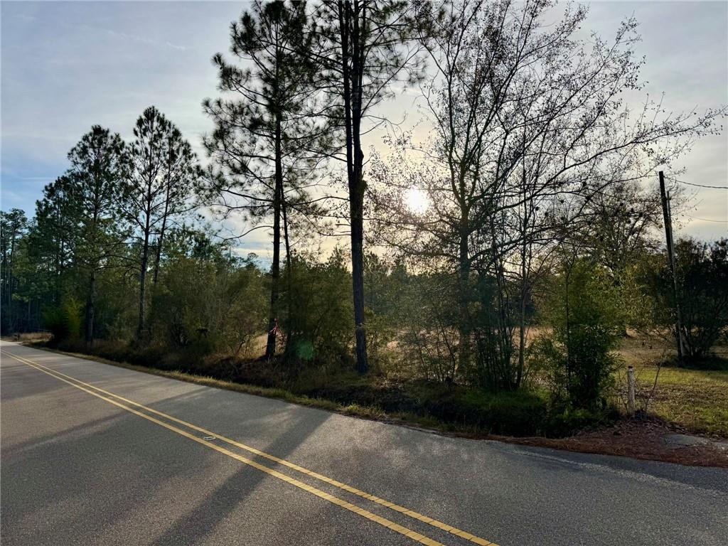 63499 Fish Hatchery Road Lacombe, LA 70445 - Photo 4 of 5 Gallery Image 4