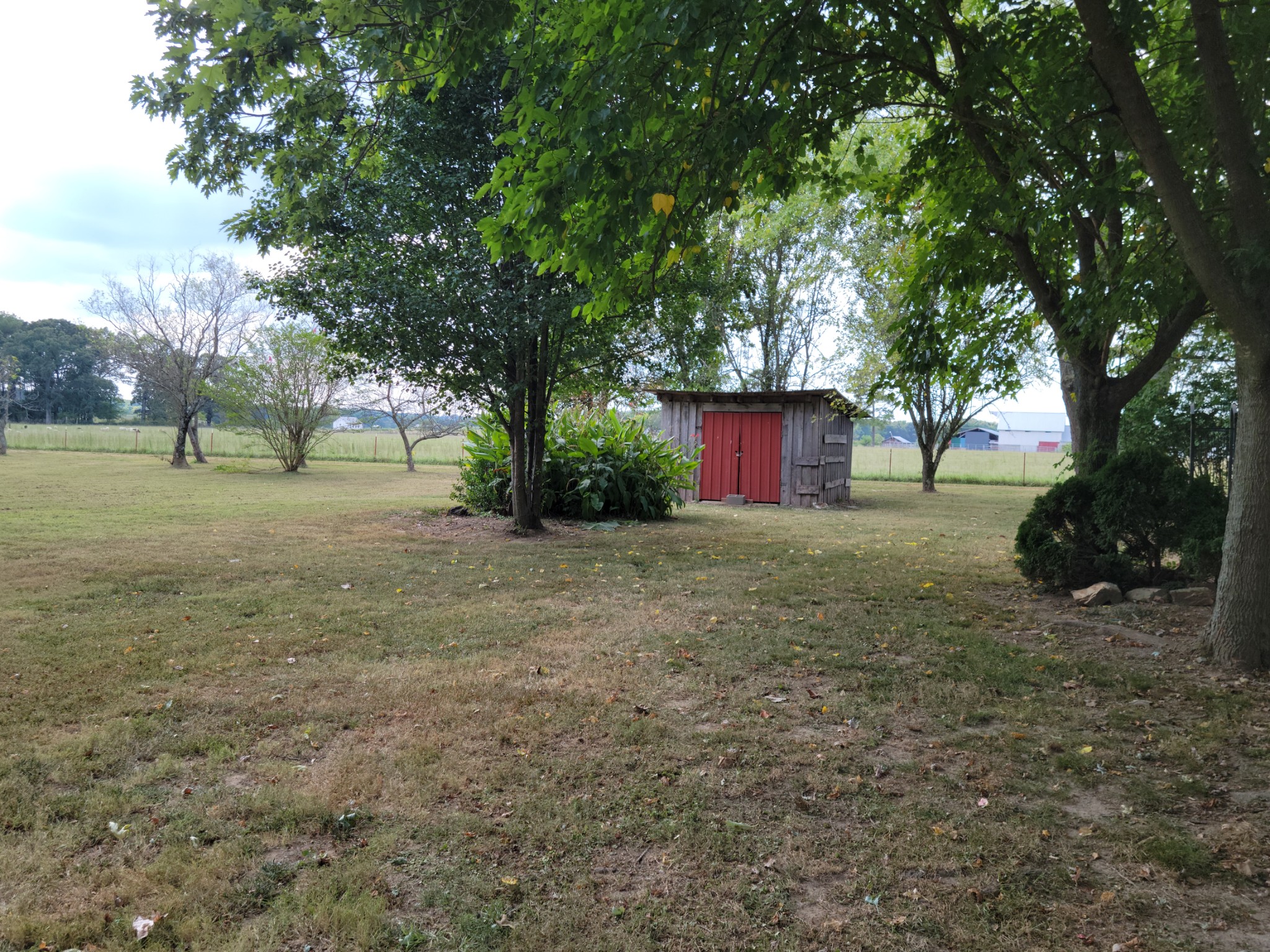 185 Marcella Falls Road Ethridge, TN 38456 - Photo 11 of 42 Gallery Image 11