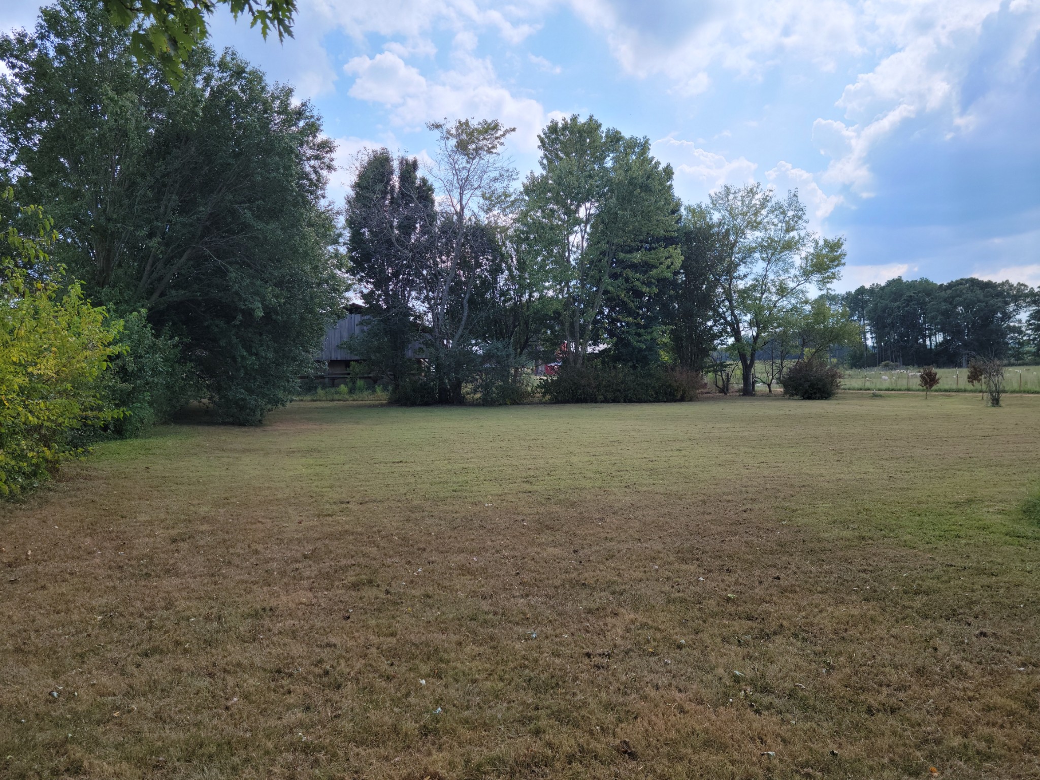 185 Marcella Falls Road Ethridge, TN 38456 - Photo 13 of 42 Gallery Image 13