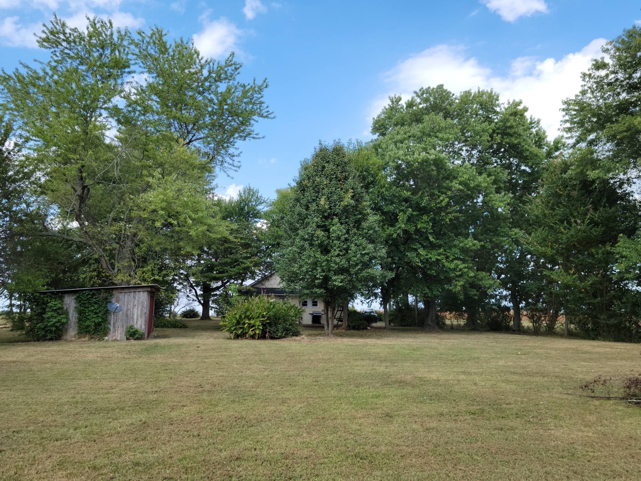 185 Marcella Falls Road Ethridge, TN 38456 - Photo 15 of 42 Gallery Image 15