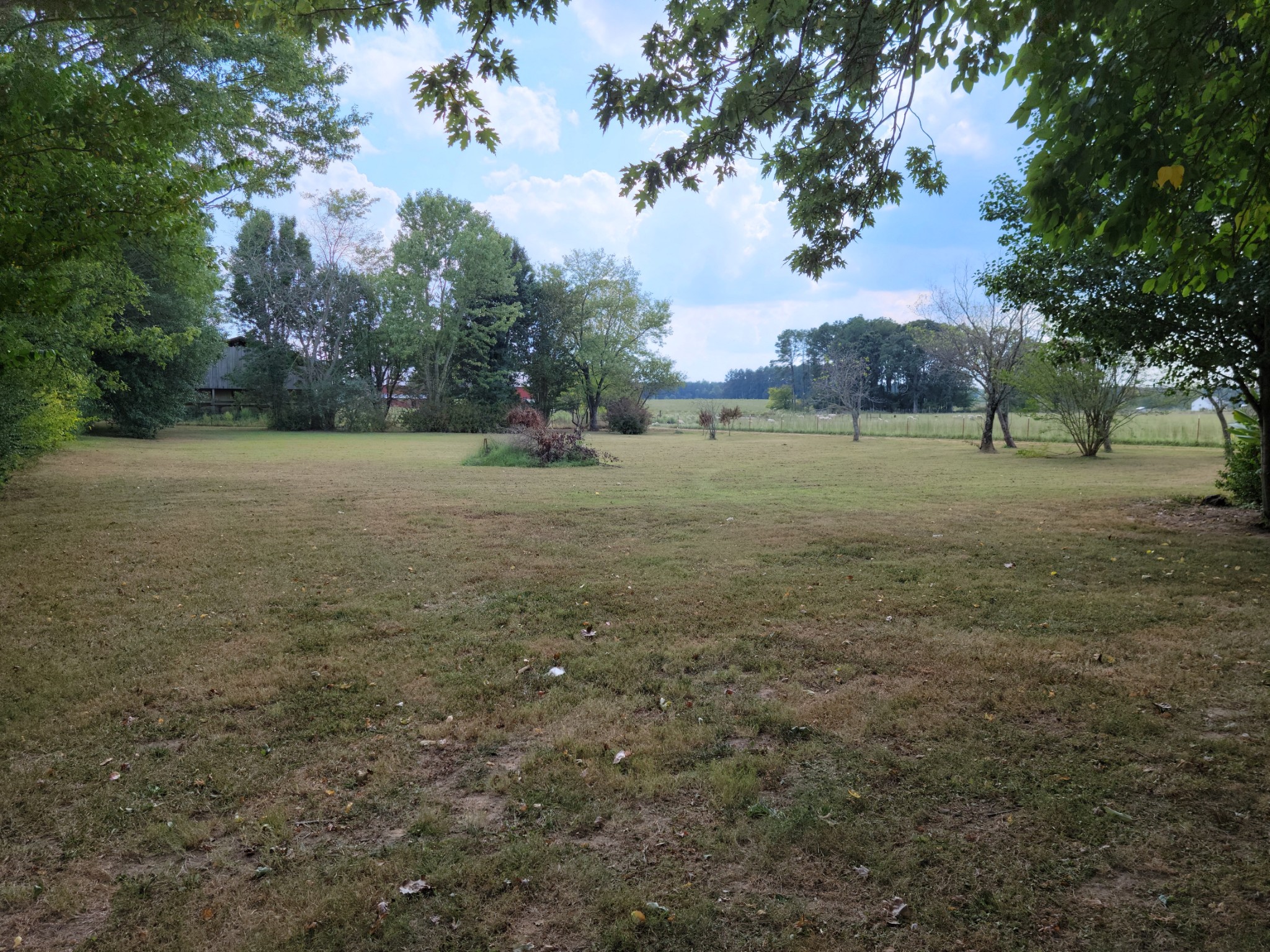 185 Marcella Falls Road Ethridge, TN 38456 - Photo 10 of 42 Gallery Image 10
