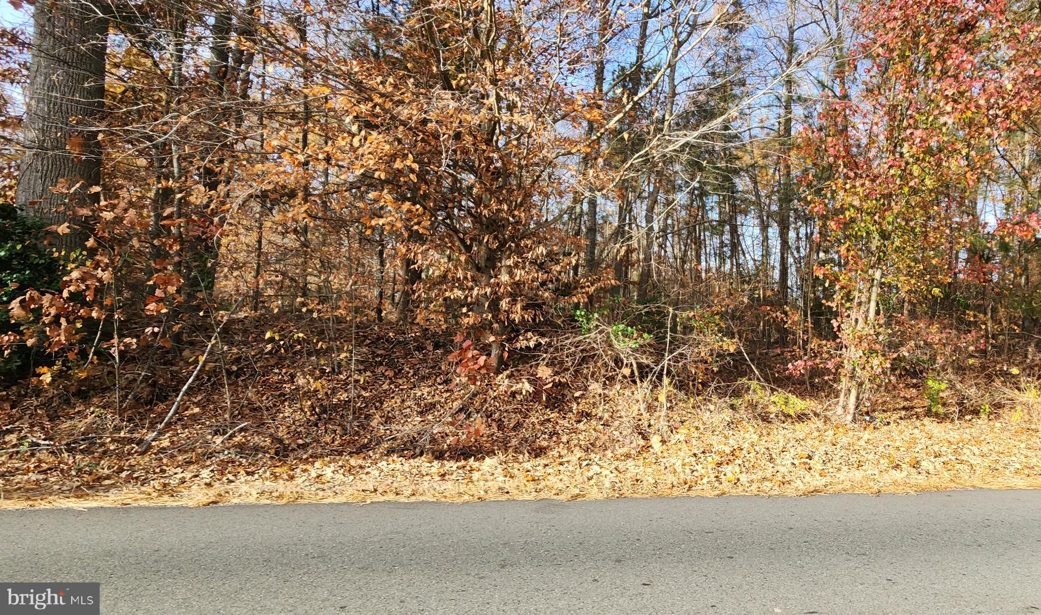 0 Indiantown Road King George, VA 22485 - Photo 1 of 4 Gallery Image 1
