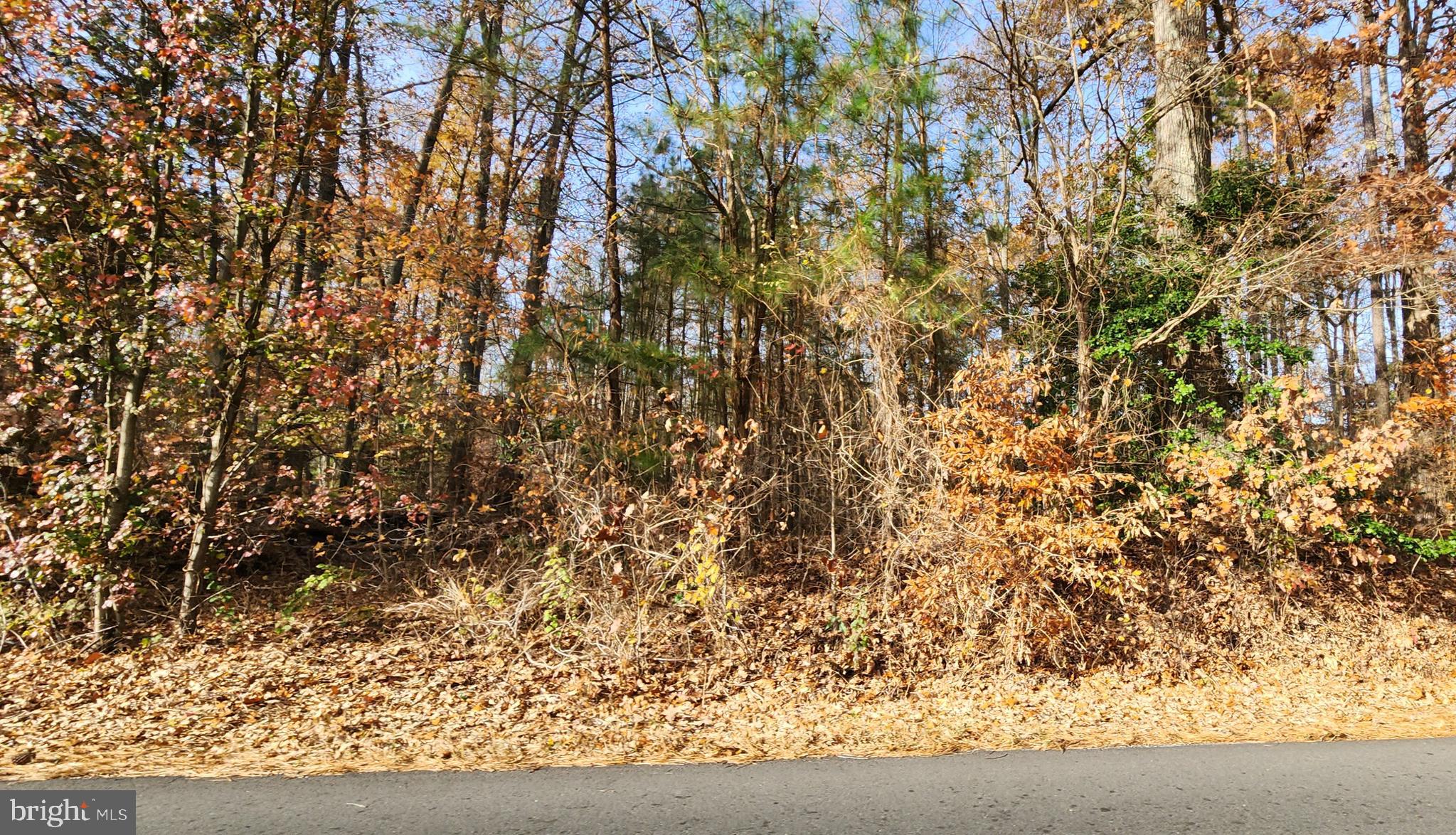 0 Indiantown Road King George, VA 22485 - Photo 3 of 4 Gallery Image 3