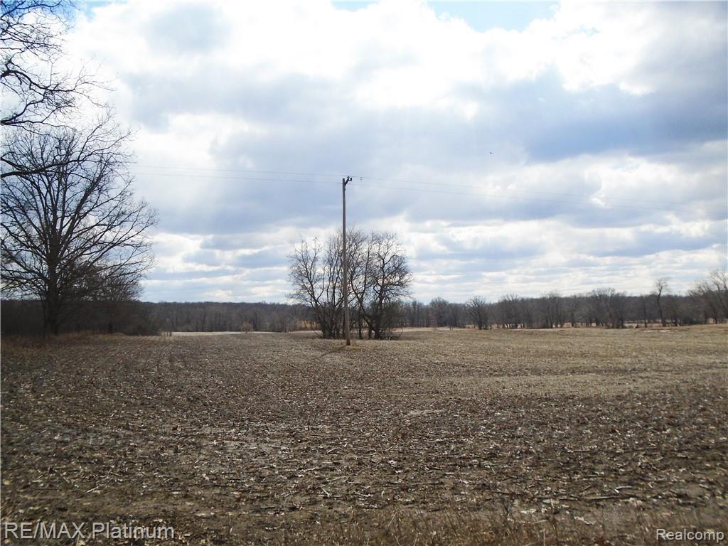 11 Parshall Road Fenton, MI 48430 - Photo 4 of 7