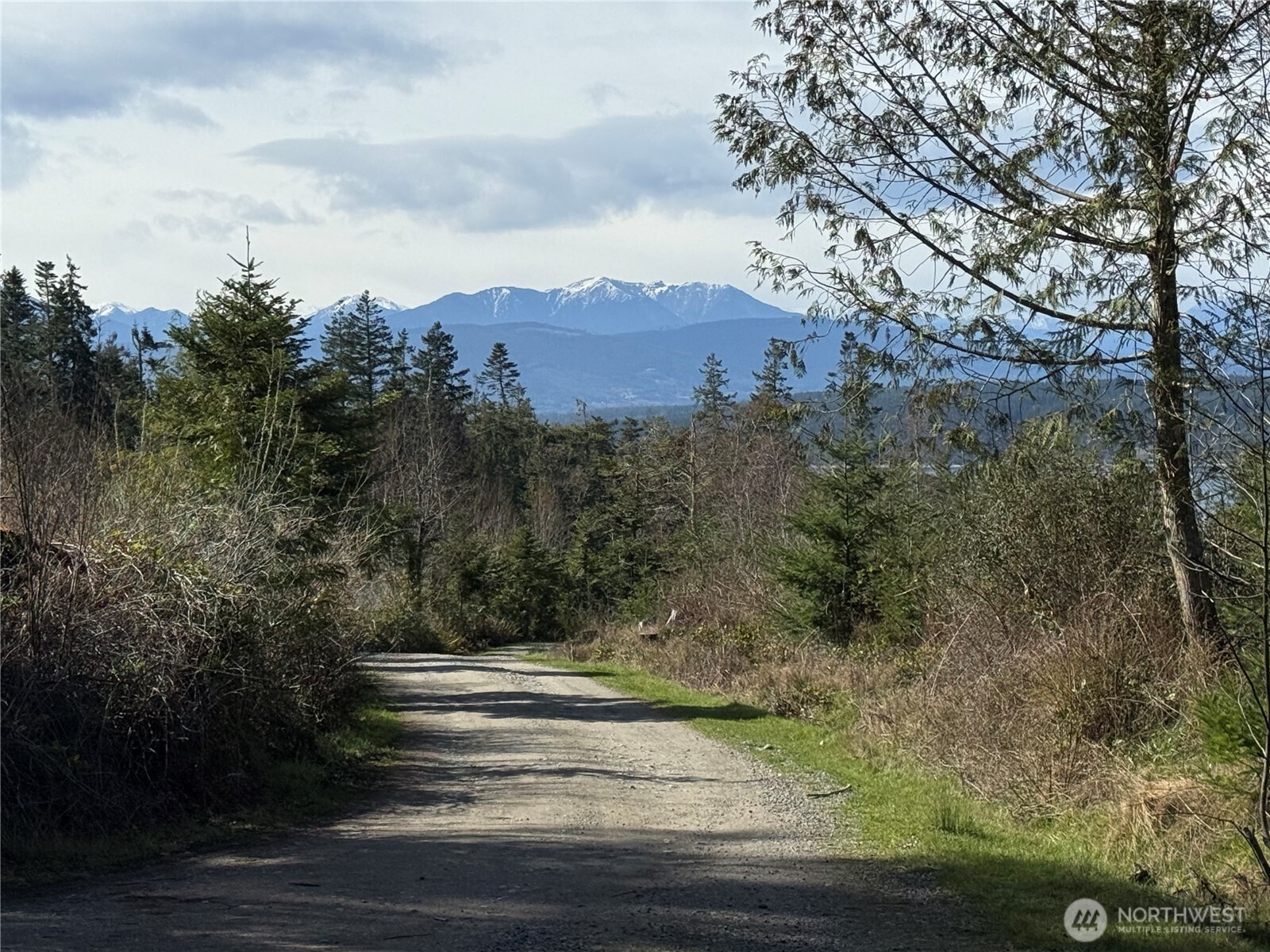 282 Drake Road Port Townsend, WA 98368 - Photo 1 of 12