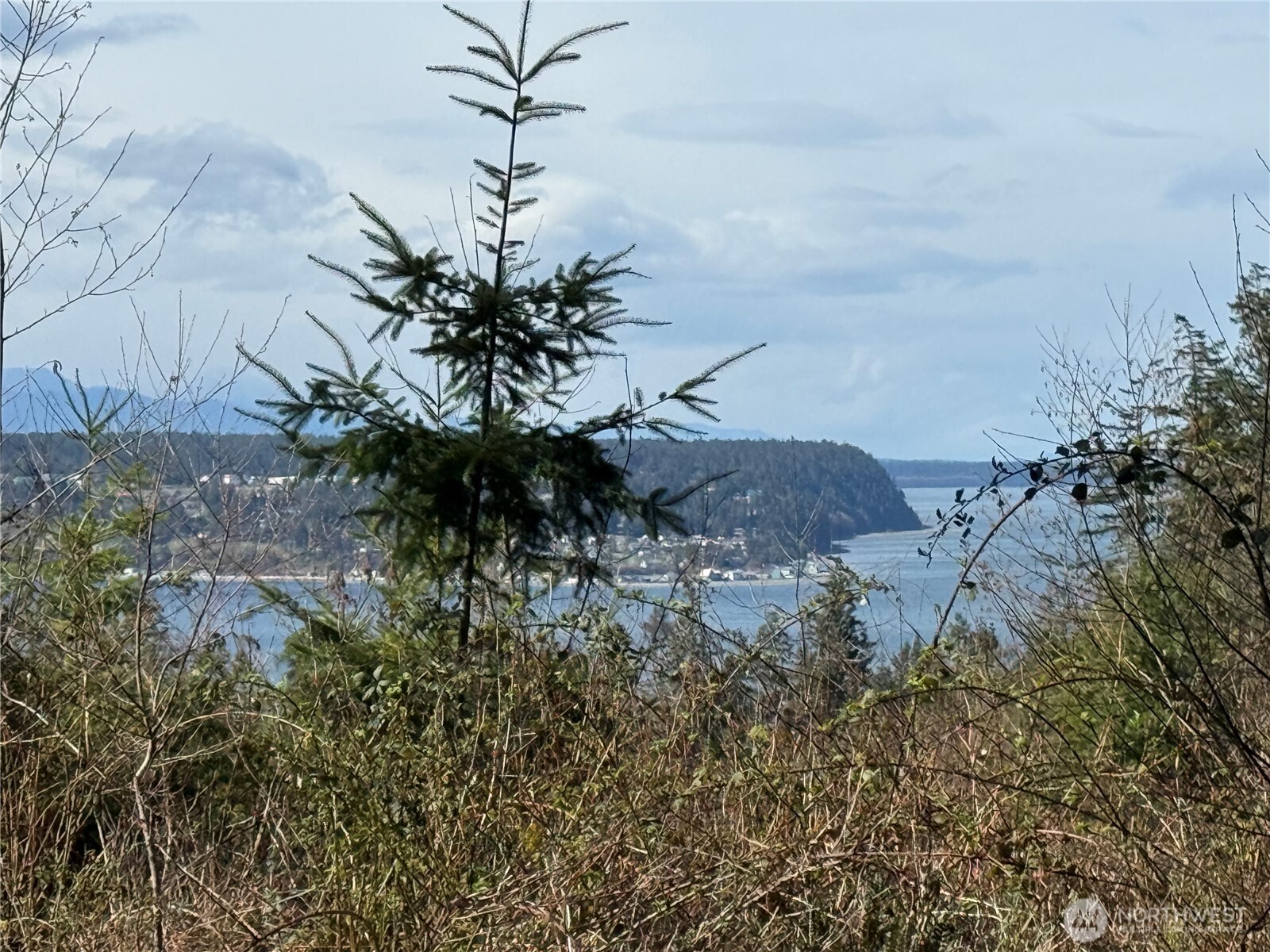 282 Drake Road Port Townsend, WA 98368 - Photo 2 of 12