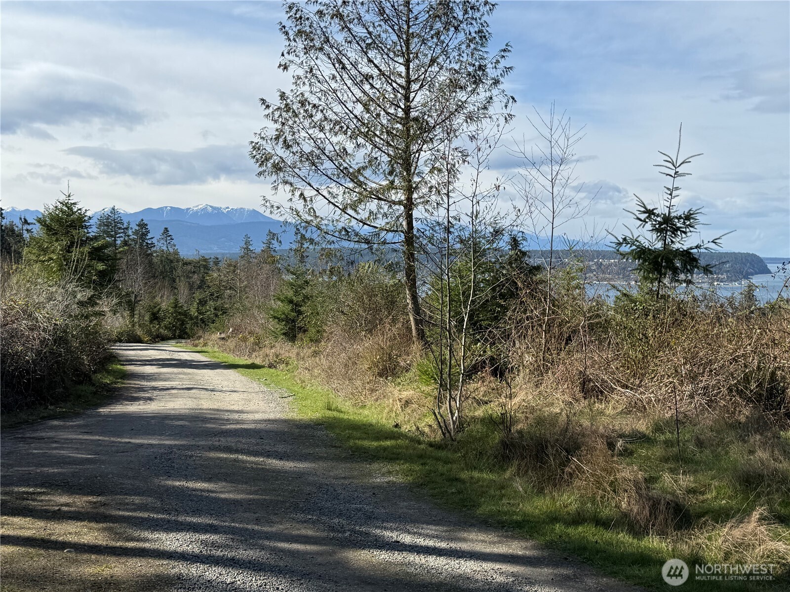 282 Drake Road Port Townsend, WA 98368 - Photo 3 of 12