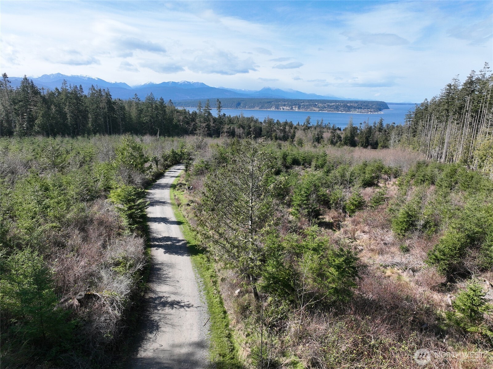 282 Drake Road Port Townsend, WA 98368 - Photo 8 of 12