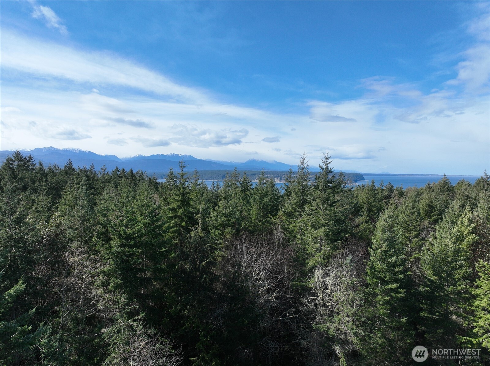 282 Drake Road Port Townsend, WA 98368 - Photo 9 of 12