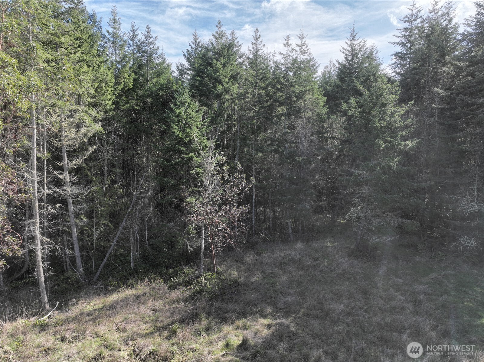 282 Drake Road Port Townsend, WA 98368 - Photo 10 of 12