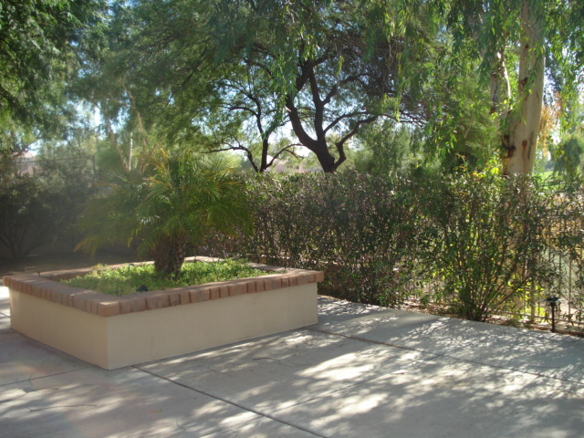 7525 East Gainey Ranch Road, Unit 111 Scottsdale, AZ 85258 - Photo 2 of 38 LUSH LANDSCAPING ON PATIO